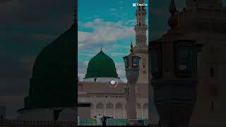 Telwat equran e pak with URDU tarjama and beautiful voice [upl. by Alves]