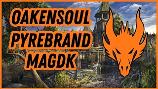 ESO PvP  Testing Oakensoul amp Pyrebrand on MagDK in BGs  Battleground Chronicles [upl. by Aicirtel]