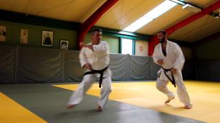 Shotokai Egami Ryu Karate Union [upl. by Citron]