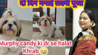 इस साल 2 दिन मनाई लक्ष्मी पूजा 🥰murphy और candy की डर से हालत खराब हो गयी 🥲 SonaaGoswami [upl. by Far]