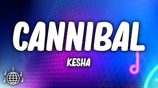 Kesha  Cannibal Lyrics [upl. by Kip]