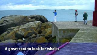 Campobello Island New Brunswick Bay of Fundy Travel Show Episode 13 [upl. by Pasol734]