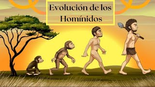 Evolución de los homínidos Un recorrido por el tiempo [upl. by Acinom]