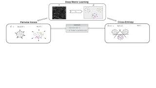 MAIS Poster 94 Metric learning cross entropy vs pairwise losses [upl. by Aihsekyw]