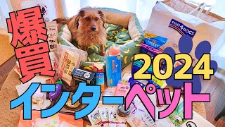 初めてのインターペット2024で爆買い！｜購入品紹介・サンプル・東京ビッグサイト [upl. by Care810]