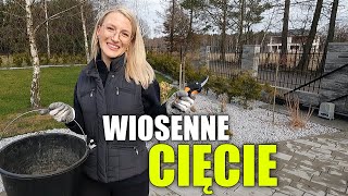 WIOSENNE CIĘCIE W OGRODZIE Przycinanie hortensji trawy ozdobnej trzmieliny i wierzby [upl. by Alat]