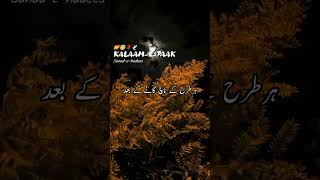 Kalaam e paak ❤😍⚘🌴sanadehadees islamicstatus islamicvideo viralshorts trandingshorts quranpaak [upl. by Esenahs]