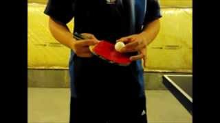 Side  Back Spin Table Tennis Serve Tutorial [upl. by Nek]