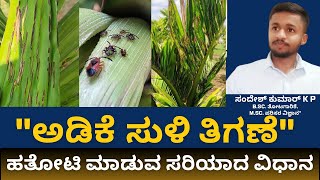 How to control Spindle bug in Arecanut  Kannada [upl. by Phillipp]