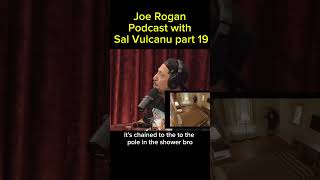 Joe Rogan Podcast with Sal Vulcanu part 19 joerogan joeroganshorts joeroganexperiance [upl. by Isadora161]