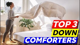 Top 3 Down Comforters to Buy in 2024 [upl. by Ridgley532]