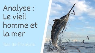 Le vieil homme et la mer de Hemingway Analyse [upl. by Risan]