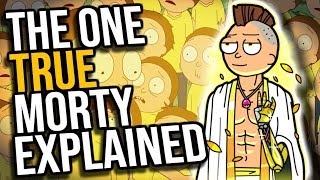 The One True Morty  Mortyism Explained [upl. by Valle442]