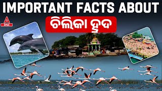 Chilika Lake Odisha  Important Facts About Chilika Lake In Puri [upl. by Coltun]