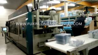 3 Station Thermoforming Machine With FormingCutting amp Stacking [upl. by Peony254]