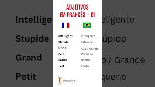 Adjetivos em Francês idiomas aprendafrances frances francêsbásico cursodefrances francesonline [upl. by Ahsas965]