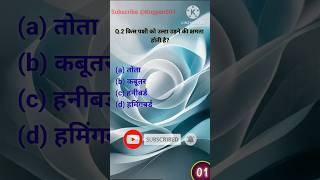 किस पक्षी को उल्टा उड़ने की क्षमता होती है gkshortvideo gkquestion gkinhindi gkshort gkquiz [upl. by Docile]