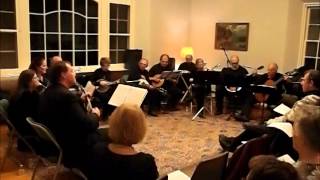 Medley of Reels Perfromed by Philadelphia Mandolin Ensemble [upl. by Eilrebma172]