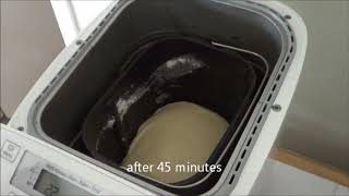 Panasonic SD2501 Breadmaker  Sweet Dough Bread Making with Recipe [upl. by Euqram]