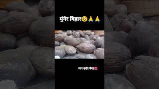 Chhathpujachhathpuja chhathgeet chhathpujasong munger gunshortvideo ytshorts ytviral [upl. by Ollopa]