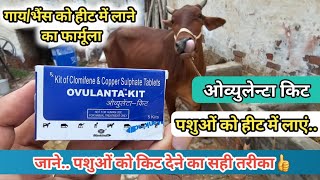 OVULANTAKIT By Vet Clomifene amp CopperSulphate Tablets  Heat generation formula for Cow Buffalo [upl. by Nyrhtak213]