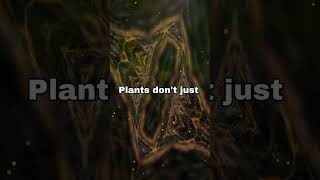 Botany for Beginners The Magic of Plant Life [upl. by Nino]