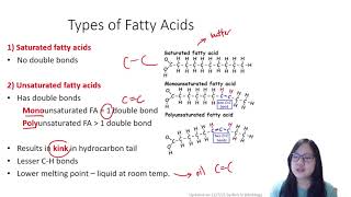 Chapter 22  Lipids  Cambridge ALevel 9700 Biology [upl. by Kin]