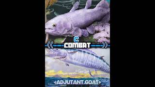 Coelacanth vs Wahoo  vsedit animals battleedit fish wisedit shorts fossil [upl. by Raddy]