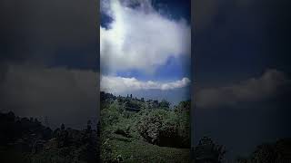 kurseong darjeeling tour tourism tourist touristplace viralvideo trending [upl. by Hgielram]