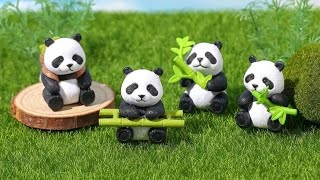 🤩😍LETS PLAY CUTE PANDA COIN BANK ASMRGAME SHORTLIVE CUTE SHORTFEED [upl. by Ives939]