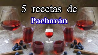 5 RECETAS DE PACHARAN CASERO 🍷Como hacer Pacharan caseroLicor de pacharan [upl. by Kaela]