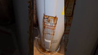 Water Heater Corrosion Solved With Powered Anode Rods plumber shorts [upl. by Ominoreg]