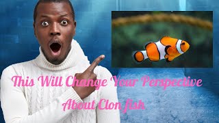 This Will Change Your Perspective About Clon fish [upl. by Nonnac]