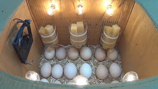 How to make an incubator at home and hatch chickens  كيف تصنع حاضنة في المنزل وتفقس الدجاج [upl. by Ardnod]