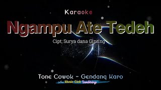 Ngampu Ate Tedeh Tone Cowok Karaoke Gendang Karo [upl. by Lema145]