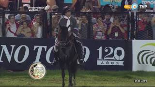 Caballos Peruanos de Paso en Argentina [upl. by Kurtzig]