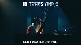 Tones and I Dance Monkey Best Remix Versions [upl. by Ferna]