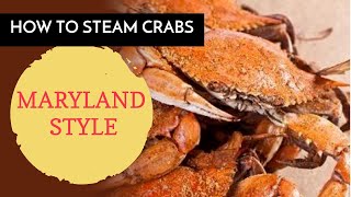 How To Steam Crabs Like An ABSOLUTE BOSS Maryland Style Steamed Crabs [upl. by Oicneserc]