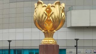 GOLDEN BAUHINIA FLOWER FAMOUS TOURIST SPOT IN HONG KONG  NATIONAL FLOWER OF HK RA QUEL VLOG [upl. by Nalyr]