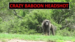 Crazy Baboon Hunting Headshot [upl. by Neeoma551]