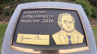 Tokyo Tech 2016 Nobel Prize monument [upl. by Homovec]