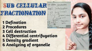 Sub cellular fractionation [upl. by Santana]