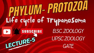 Life Cycle of Trypanosoma  Sleeping Sickness  Zoology  Parasitology  Notes in Description [upl. by Jeffries]