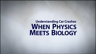 Understanding Car Crashes When Physics Meets Biology [upl. by Leummas51]