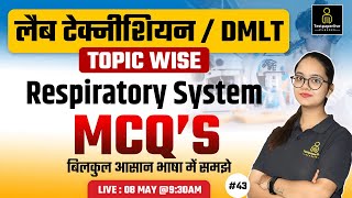 Respiratory system anatomy amp physiology in hindi  Organs  structure  functions  DMLT [upl. by Rizzi617]