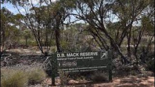 DB Mack Reserve mystery walk and more [upl. by Adimra]