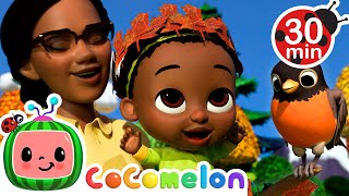 Cody Loves 🍂 Autumn Colors  CoComelon  Cody Time  Songs and Cartoons  Best Videos for Babies [upl. by Beebe]