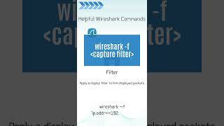 Wireshark Command Capture Filter [upl. by Idurt926]