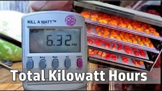 Is Dehydrating Foods At Home Cost Effective Easy Way To Calculate Any Appliances Energy CostUsage [upl. by Ramalahs312]