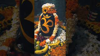 Shiv Tandav StotraHindi  Ashutosh Rana🎵🔱shivtandav devotional [upl. by Birgit]